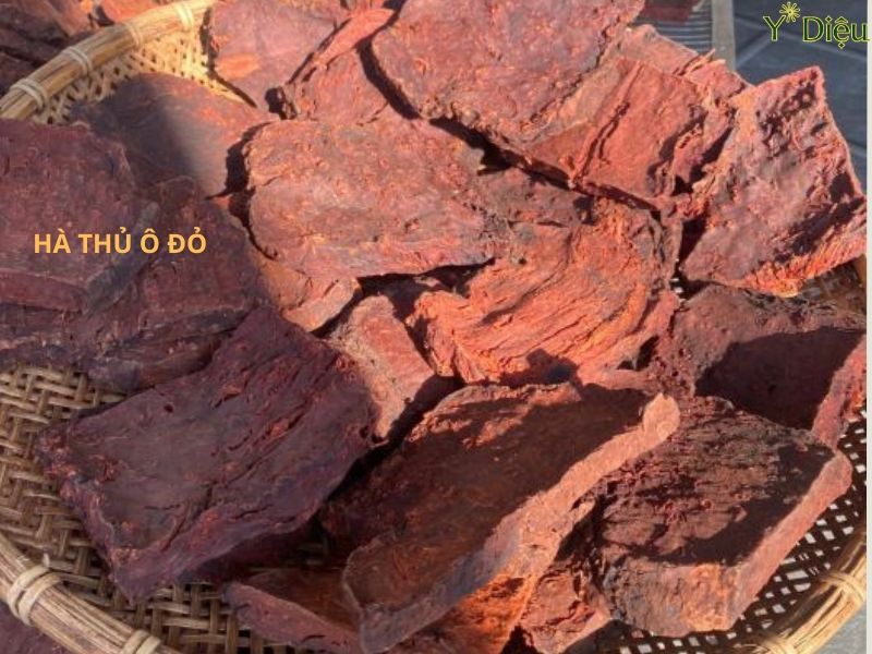 Hà thủ ô đỏ được chế biến kỹ càng trước khi sử dụng